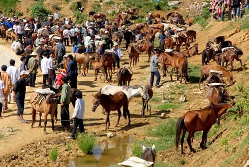 Bac Ha market in the early days of the lunar New Year - ảnh 4